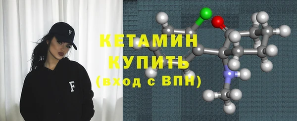 индика Дмитриев