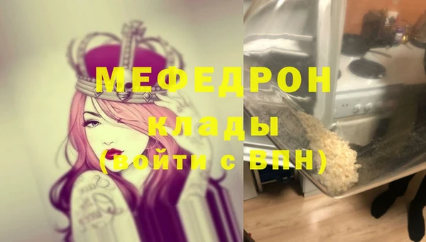 индика Дмитриев