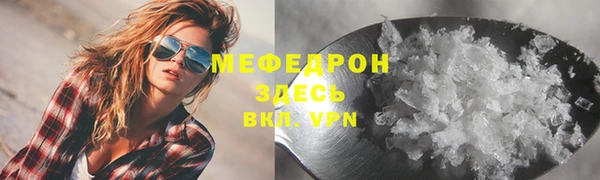 индика Дмитриев