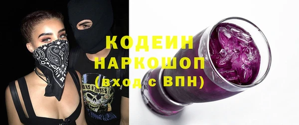 индика Дмитриев