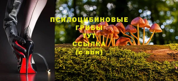 индика Дмитриев