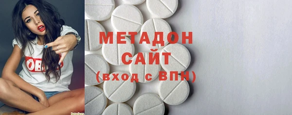 индика Дмитриев