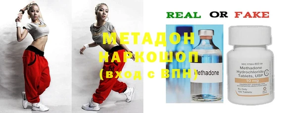 индика Дмитриев