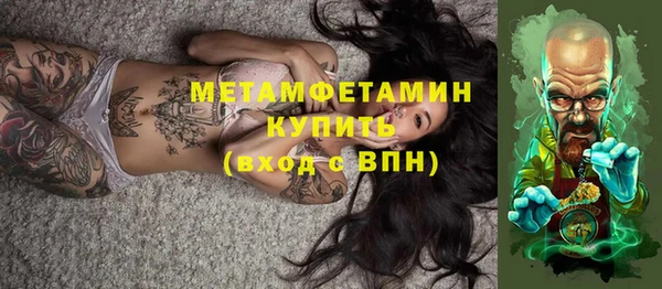 индика Дмитриев
