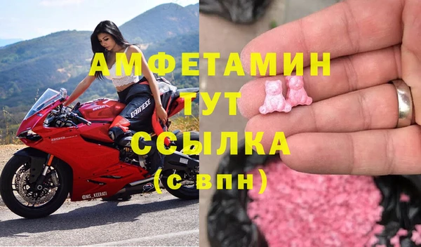 индика Дмитриев