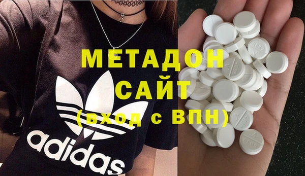 индика Дмитриев