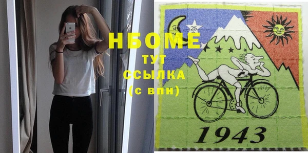 индика Дмитриев