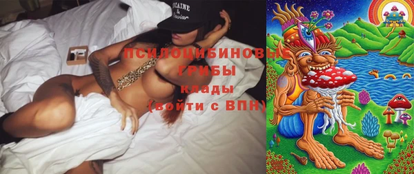индика Дмитриев