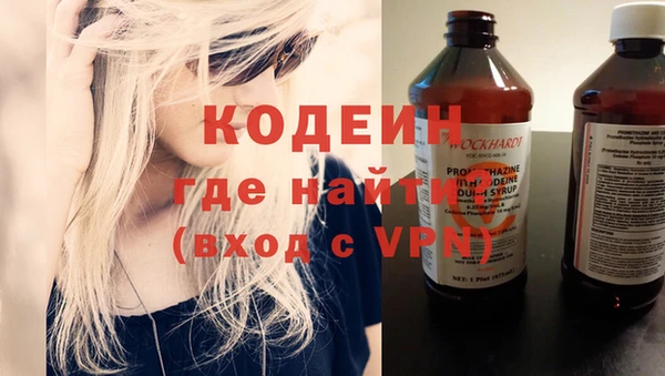 индика Дмитриев