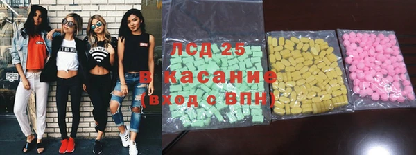 индика Дмитриев