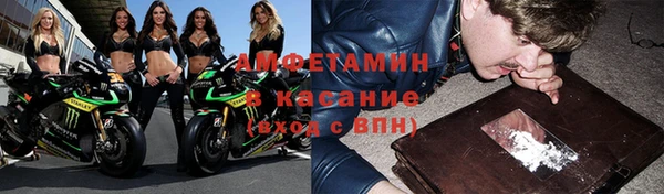 индика Дмитриев