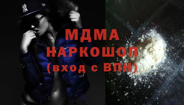 индика Дмитриев