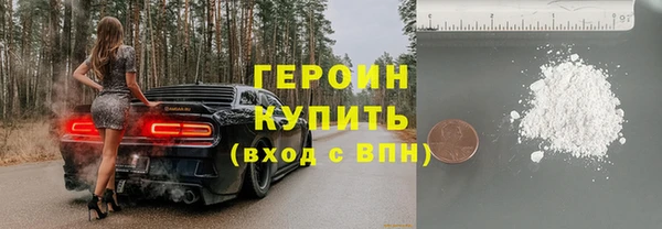 индика Дмитриев